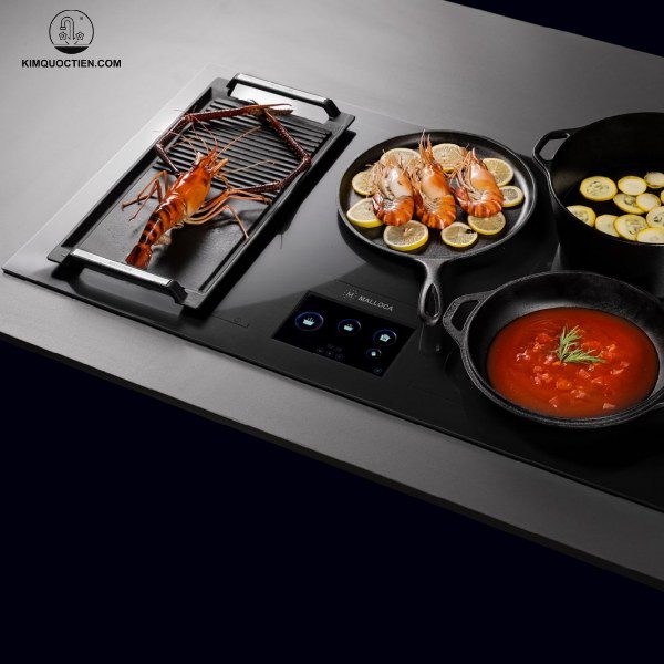 Bếp từ Malloca MH-92TFT