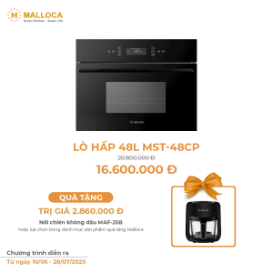 Lò hấp âm tủ Malloca MST-48CP