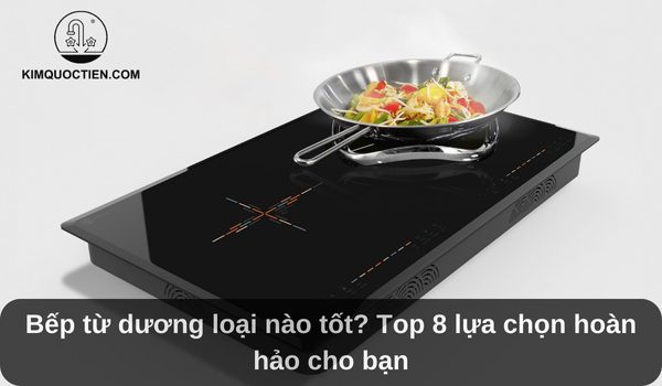 Bếp từ dương loại nào tốt? Top 8 lựa chọn hoàn hảo cho bạn