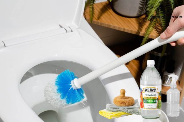 Nguyên nhân và cách khắc phục bồn cầu bị hôi đơn giản