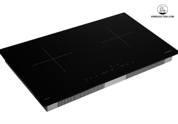 Bếp từ đôi loại nào tốt