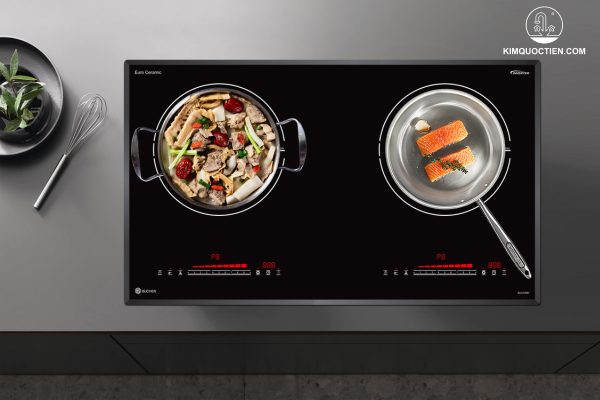 bếp điện có mấy loại