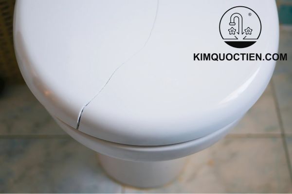 cách lắp nắp bồn cầu liền khối