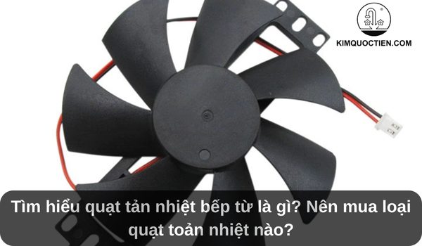 Tìm hiểu quạt tản nhiệt bếp từ là gì? Nên mua loại quạt toản nhiệt nào?