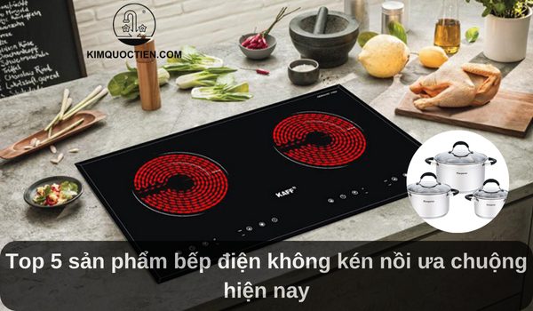 Top 5 sản phẩm bếp điện không kén nồi ưa chuộng 2025