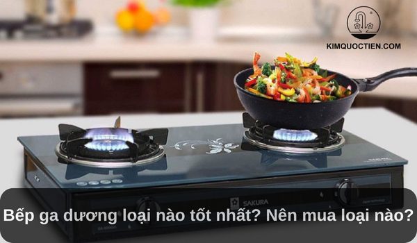 Bếp ga dương loại nào tốt nhất? Top 6 lựa chọn tốt cho gia đình