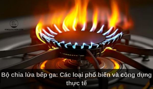 Bộ chia lửa bếp ga: Các loại phổ biến và công dụng thực tế