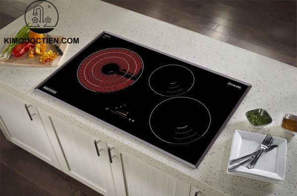 Bếp từ kết hợp điện D'mestik ES 838 DKT 