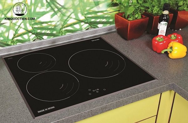 Bếp từ Dmestik ES603 DKI