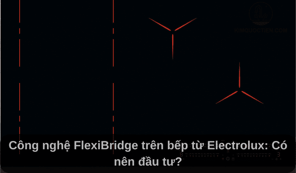 Công nghệ FlexiBridge trên bếp từ Electrolux: Có nên đầu tư?