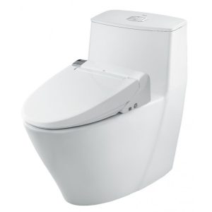 Bồn cầu một khối INAX AC-919R+CW-KA22AVN