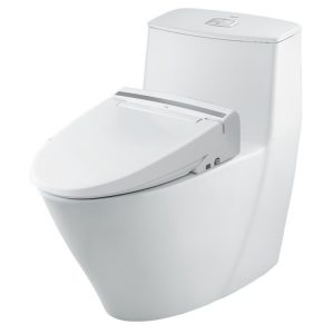 Bồn cầu một khối INAX AC-919R+CW-KB22AVN