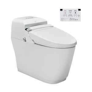 Bồn cầu một khối INAX AC-1032+CW-KA22AVN