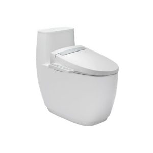 Bồn cầu một khối INAX AC-1135+CW-H20VN