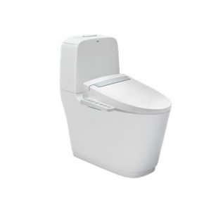 Bồn cầu hai khối INAX AC-832+CW-H20VN