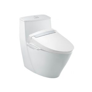 Bồn cầu một khối INAX AC-919R+CW-H20VN