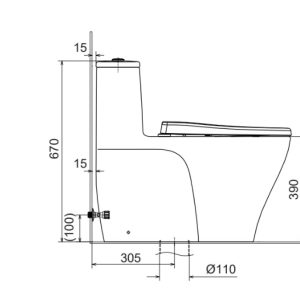 Bồn cầu một khối INAX AC-989+CW-KA22AVN