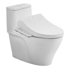 Bồn cầu một khối INAX AC-989+CW-H17VN