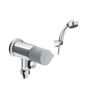 Sen tắm nước lạnh INAX BFV-10-1C