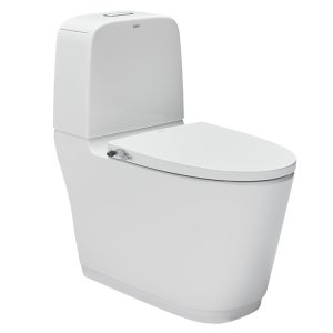 Bồn cầu hai khối INAX AC-832+CW-S15VN