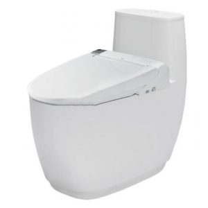 Bàn cầu một khối INAX AC-1052+CW-KA22AVN