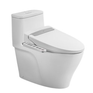 Bồn cầu một khối INAX AC-989+CW-H20VN