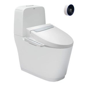 Bồn cầu hai khối INAX ACT-832VN+CW-H20VN