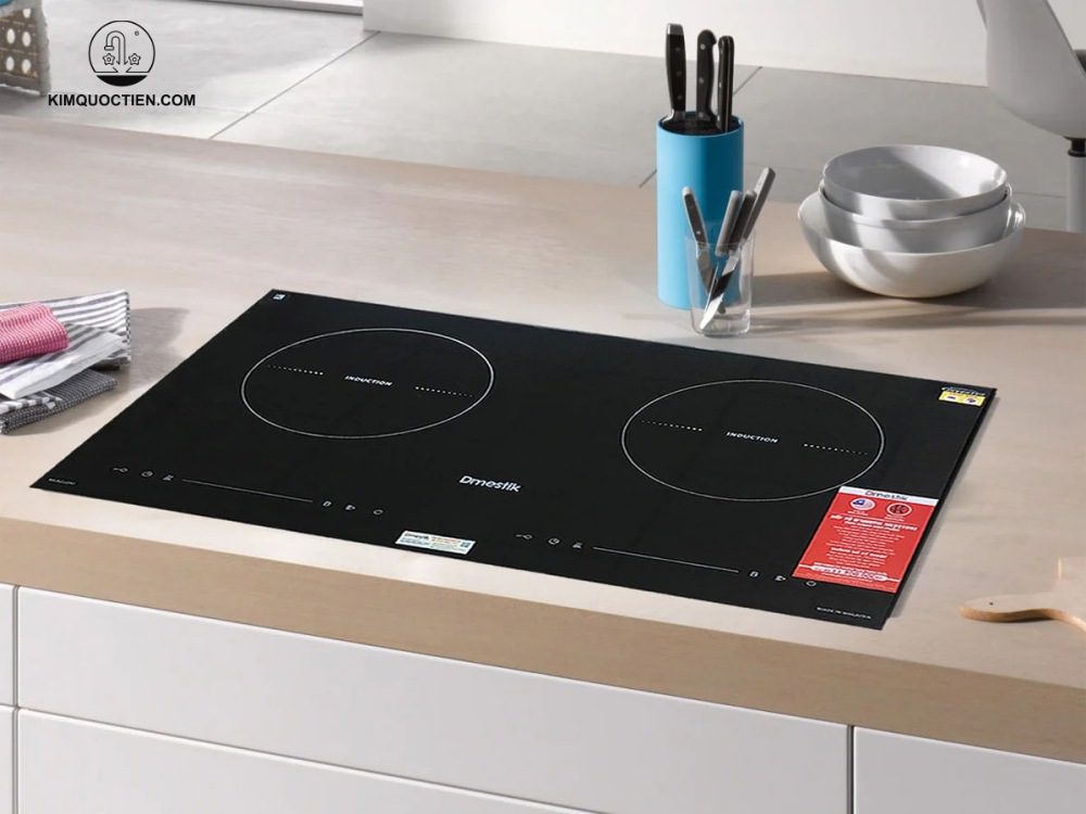 Bếp từ đôi Dmestik
