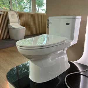 Bồn cầu INAX 1 khối AC-969VN-2