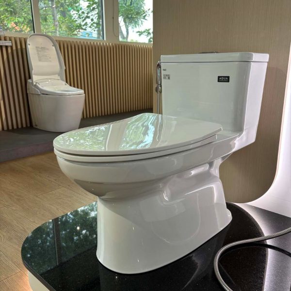 Bồn cầu INAX 1 khối AC-969VN-2