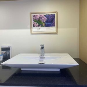 Chậu rửa lavabo đặt bàn INAX AL-S630VFC