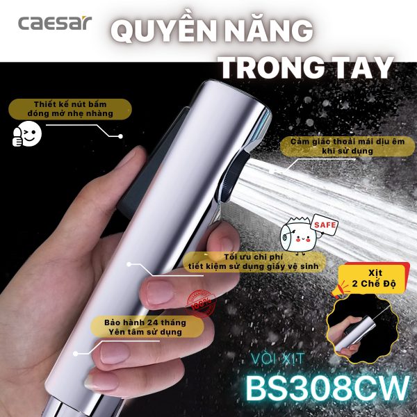 Bản vẽ kỹ thuật Vòi xịt xi Caesar BS308CW