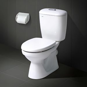 Bồn cầu INAX C-306VPTN 2 khối