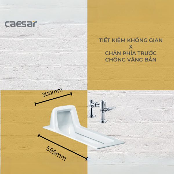 Bồn cầu xổm C1230