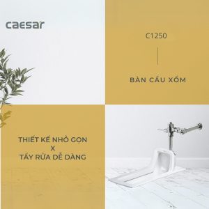 Bồn cầu xổm C1250