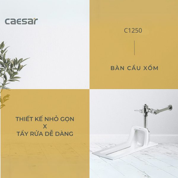 Bồn cầu xổm C1250