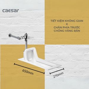 Bồn cầu xổm C1250