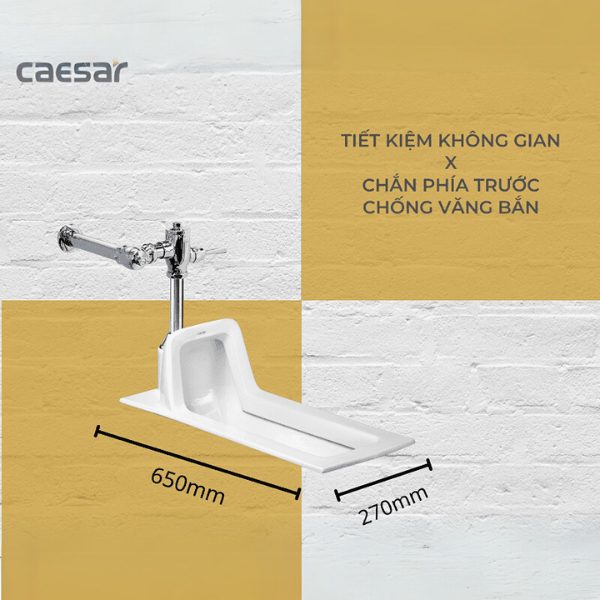 Bồn cầu xổm C1250