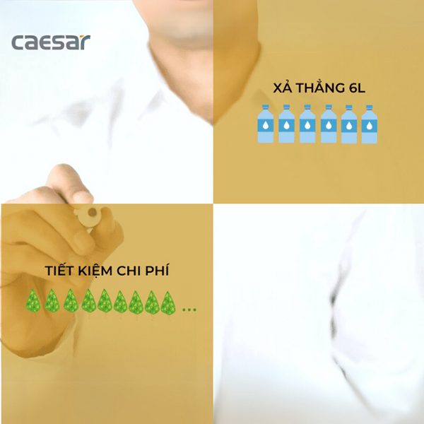 Bồn cầu xổm C1250