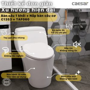 Bồn cầu 1 khối nắp rửa cơ C1353F/TAF060