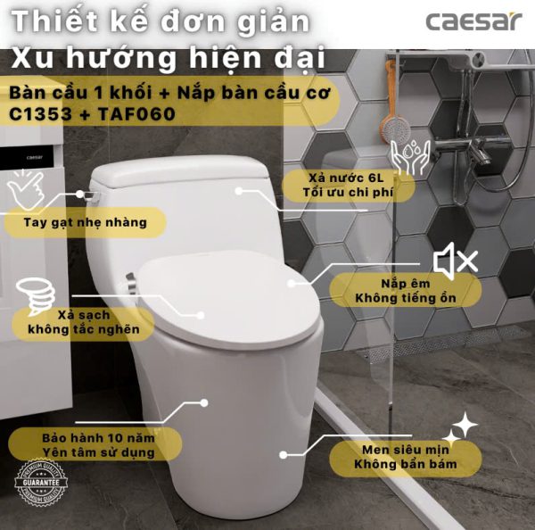 Bồn cầu 1 khối nắp rửa cơ C1353F/TAF060