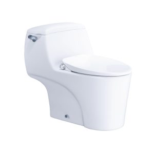 Bồn cầu 1 khối nắp rửa cơ C1353F/TAF060