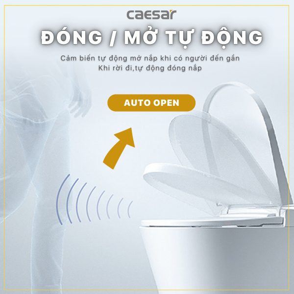 Bồn cầu 1 khối nắp điện tử Caesar C1356F/TAF512H