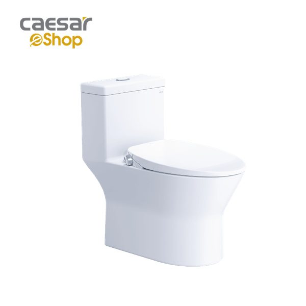 Bồn cầu 1 khối nắp rửa cơ C1374F/TAF060