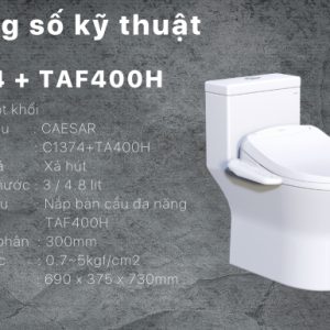 Bồn cầu 1 khối nắp điện tử Caesar C1374F/TAF400H