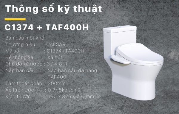 Bồn cầu 1 khối nắp điện tử Caesar C1374F/TAF400H
