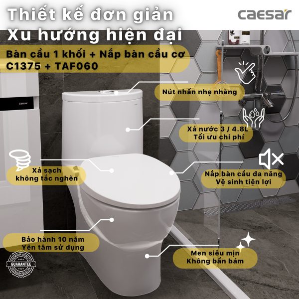 Bồn cầu 1 khối nắp rửa cơ C1395F/TAF060