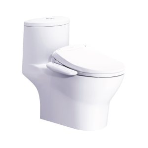 Bồn cầu 1 khối nắp điện tử Caesar C1375F/TAF400H