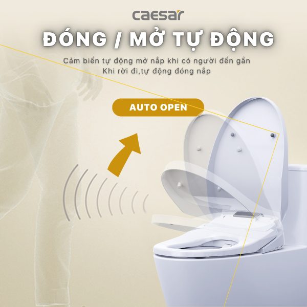 Bồn cầu 1 khối nắp điện tử Caesar C1375F/TAF610H