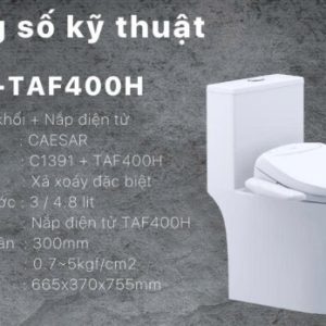 Bồn cầu 1 khối nắp điện tử Caesar C1391F/TAF400H